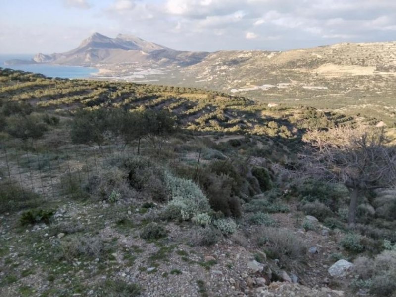 Phalasarna Kreta, Phalasarna: Grundstück zum Verkauf in Falassarna, Chania Grundstück kaufen
